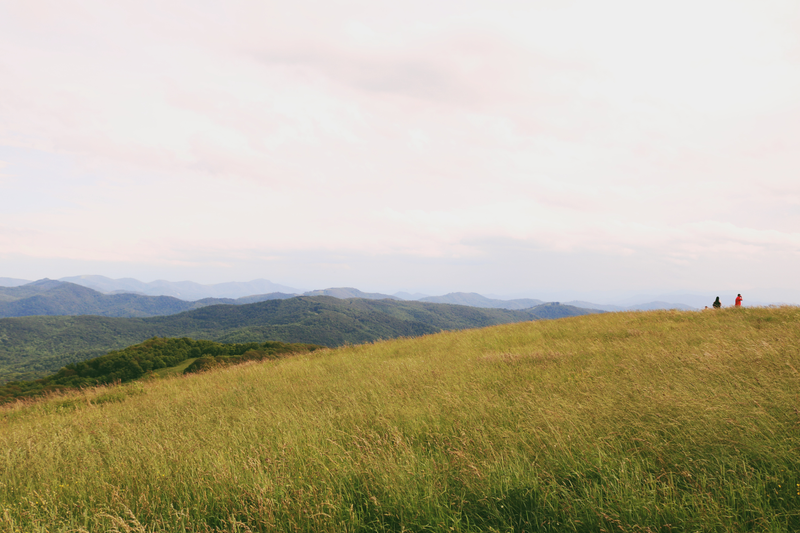 Illustration for article titled Max Patch Mountain, NC